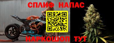 мдпв Гусев