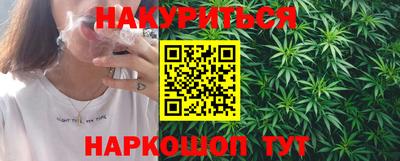 мдпв Гусев